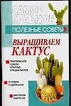 Купить Выращиваем кактус — Фото №1