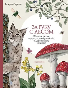 Купить За руку с лесом. Жизнь в ритме природы, янтарный мёд и деревенское крыльцо — Фото №1