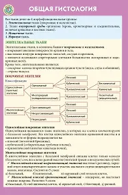 Купить Общая гистология — Фото №1