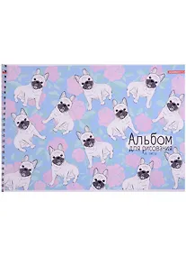 Купить Альбом для рисования Academy Style, "Мопсы", А4, 24 листа, на спирали — Фото №1
