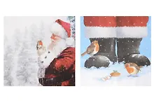 Купить Салфетки для декупажа Санта - 2 шт. P-33310650/310709 — Фото №1