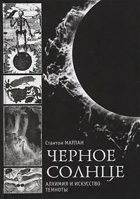 Купить Черное солнце. Алхимия и искусство темноты — Фото №1