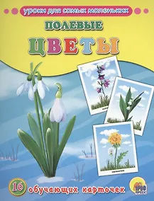 Купить ОБУЧАЮЩИЕ КАРТОЧКИ. ПОЛЕВЫЕ ЦВЕТЫ — Фото №1
