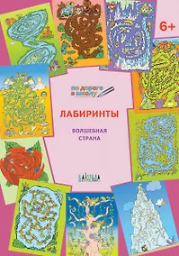 Купить По дороге в школу. Лабиринты 5+. Волшебная страна. ФГОС — Фото №1