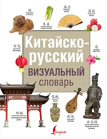 Купить Китайско-русский визуальный словарь — Фото №1