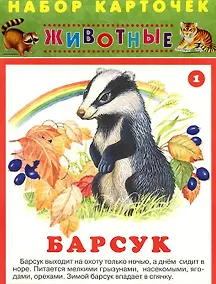 Купить Животные — Фото №1