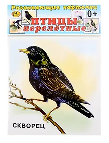 Купить Развивающие карточки Птицы перелетные (0+) (12 карточек) — Фото №1