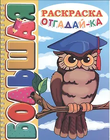 Купить Отгадай-ка. Большая раскраска (SUPER). — Фото №1