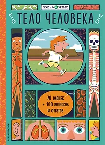 Купить Тело человека (с окошками) — Фото №1