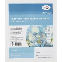 Купить Холст на картоне "Студия", 25*30см, 100% хлопок, мелкое зерно, Гамма — Фото №1
