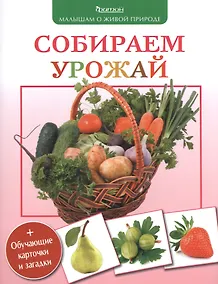 Купить Собираем урожай (+обуч.карточки и загадки) — Фото №1