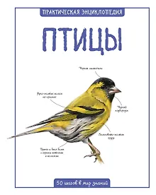 Купить Птицы — Фото №1