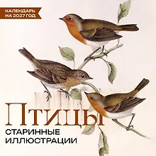 Купить Птицы. Старинные иллюстрации. Календарь на 2027 год — Фото №1