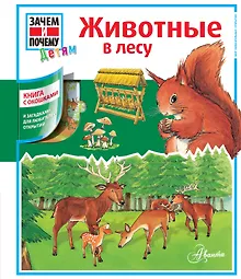 Купить Животные в лесу: книга с окошками — Фото №1