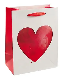 Купить Пакет А5 23*18*10 "Big heart" нейтр., бум.мат.ламинат — Фото №1