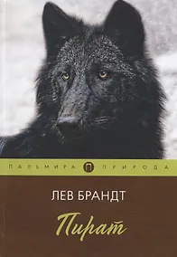 Купить Пират — Фото №1