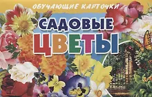 Купить Обучающие карточки "Садовые цветы" — Фото №1