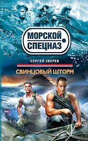 Купить Свинцовый шторм — Фото №1