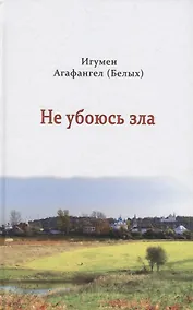 Купить Не убоюсь зла — Фото №1