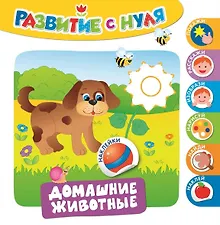 Купить Домашние животные — Фото №1