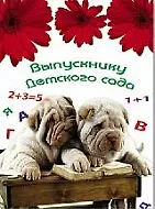 Купить Папка адресная "ВЫПУСКНИКУ ДЕТСКОГО САДА" 5785, Феникс — Фото №1