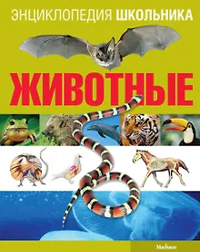 Купить Животные — Фото №1