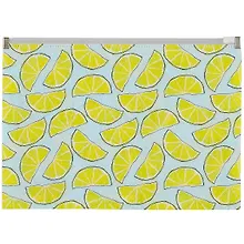 Купить Папка на молнии А5 "Лимоны" пластик — Фото №1