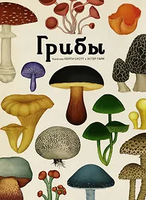 Купить Грибы — Фото №1