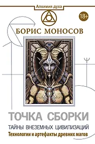 Купить Точка сборки. Тайны внеземных цивилизаций. Технологии и артефакты древних магов — Фото №1