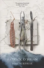 Купить HMS Surprise — Фото №1