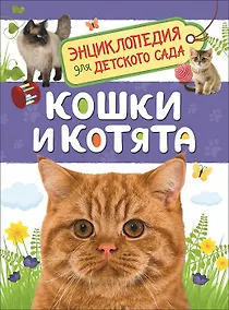Купить Кошки и котята. Энциклопедия для детского сада — Фото №1