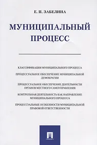 Купить Муниципальный процесс. Монография.-М.:Проспект,2019. — Фото №1