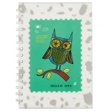 Купить Тетрадь в клетку Hai Bin, Hello owl, 80 листов, в ассортименте — Фото №1