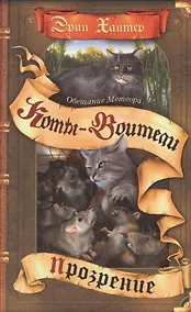 Купить Обещание Метеора. Прозрение — Фото №1