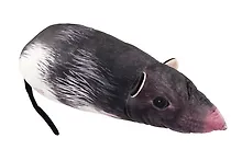 Купить Мягкая игрушка Крыса (70 см) (19.18.3) — Фото №1