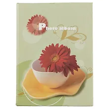 Купить Фотоальбом Цветы 100фото 10*15см твердая обложка в асс. (M020) — Фото №1