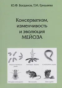 Купить Консерватизм, изменчивость и эволюция мейоза — Фото №1