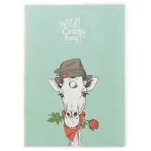 Купить Тетрадь в линейку AnAn, Crazy guy, А5, 60 листов, в ассортименте — Фото №1