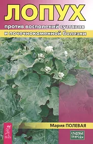 Купить Лопух против воспалений суставов и почечнокаменной болезни — Фото №1