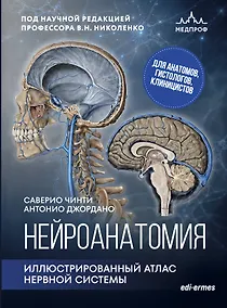 Купить Нейроанатомия. Иллюстрированный атлас нервной системы — Фото №1
