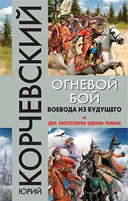 Купить Огневой бой. Воевода из будущего — Фото №1