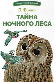 Купить Тайна ночного леса. Сказка и рассказ — Фото №1
