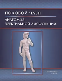 Купить Половой член.Анатомия эректильной дисфункции — Фото №1