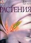 Купить Растения: Новейшая иллюстрированная энциклопедия по зеленому царству планеты — Фото №1