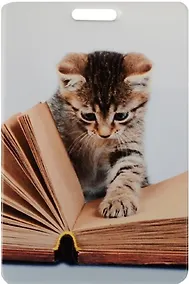 Купить Чехол для карточек Котенок читает книгу — Фото №1
