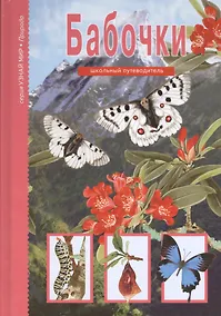 Купить Бабочки. — Фото №1