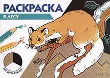Купить Раскраска В лесу — Фото №1