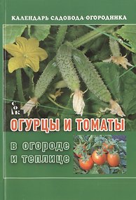 Купить Огурцы и томаты в огороде и теплице — Фото №1