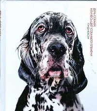 Купить День собаки, или Весь цвет собачьего племени — Фото №1