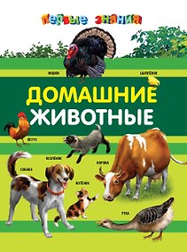 Купить Домашние животные — Фото №1